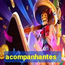 acompanhantes peludas em sp